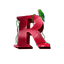 REDE ARK