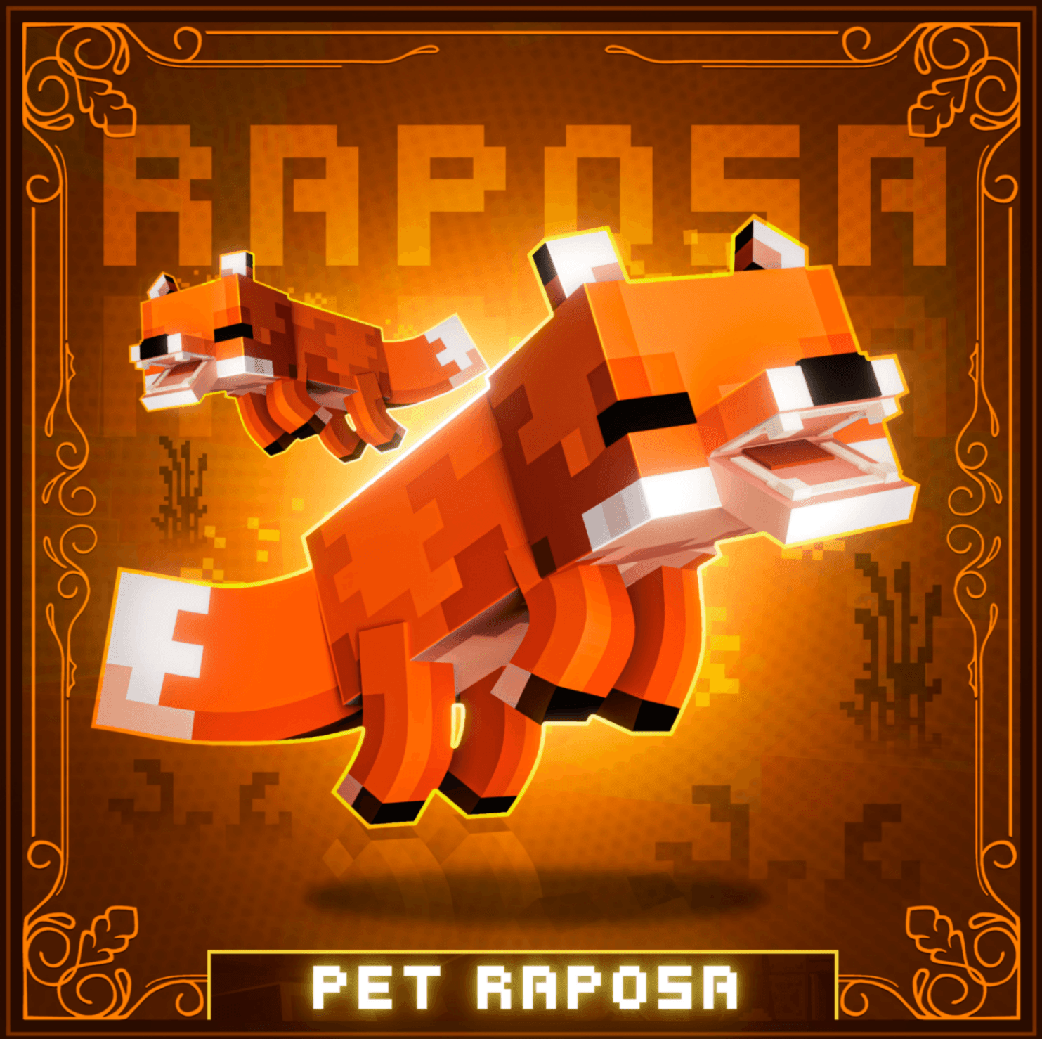 PET RAPOSA