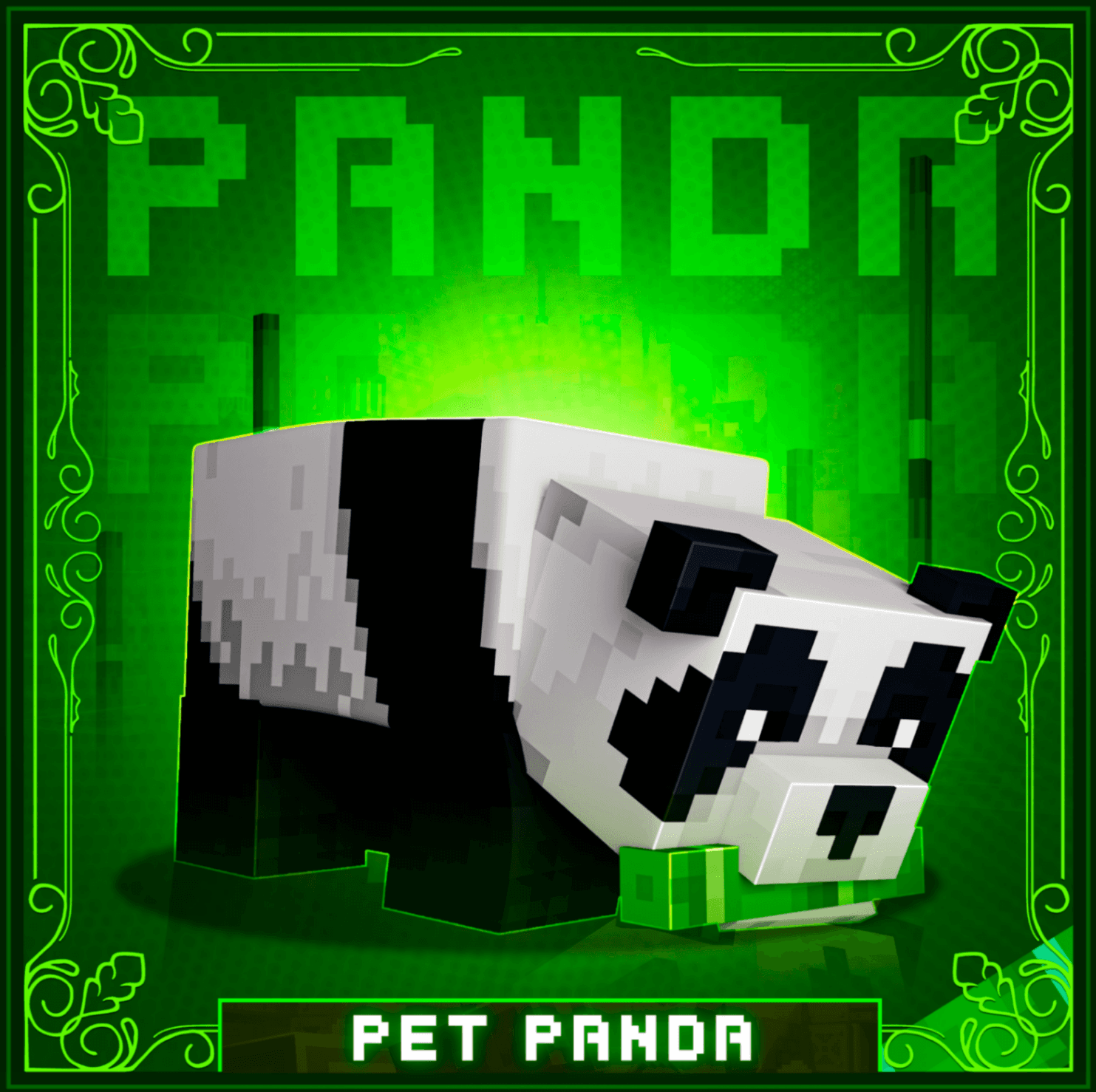 PET PANDA